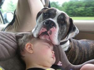 Dog & Baby